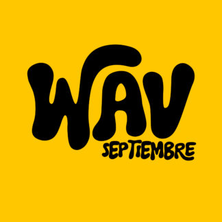 BbY WOW - KAROL G - FEDE VALDEZ - EDIT 120 BPM